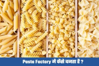 Pasta Factory Me Kaise Banta Hai
