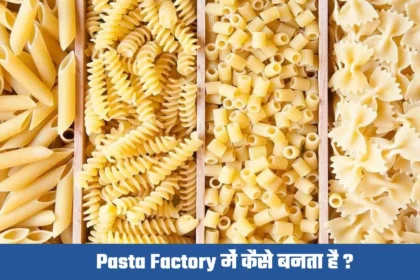Pasta Factory Me Kaise Banta Hai