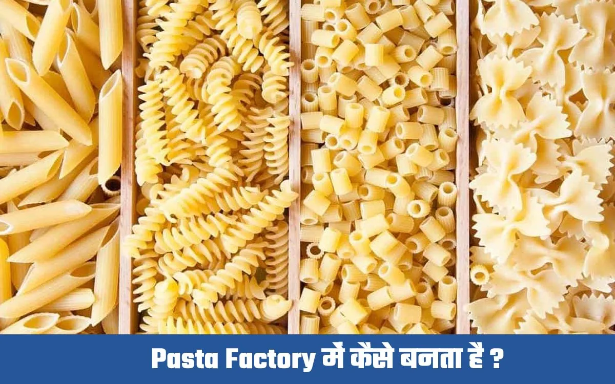 Pasta Factory Me Kaise Banta Hai