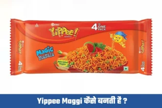 यिप्पी मैगी कैसे बनती है ( Yippee Maggi Factory Mein Kaise Banti Hai )