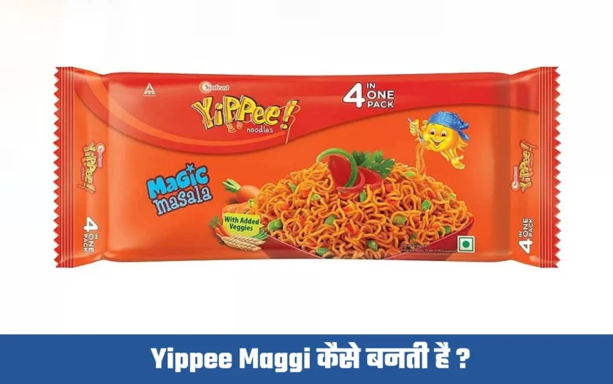 यिप्पी मैगी कैसे बनती है ( Yippee Maggi Factory Mein Kaise Banti Hai )