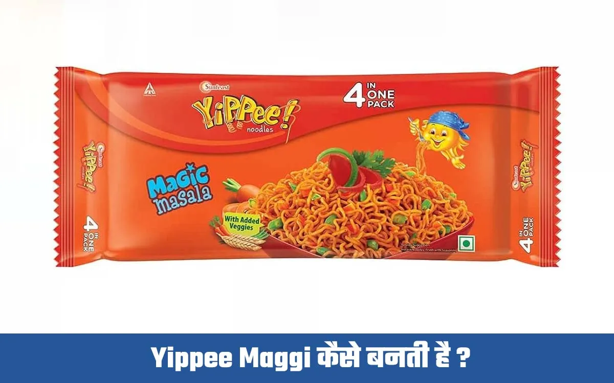 यिप्पी मैगी कैसे बनती है ( Yippee Maggi Factory Mein Kaise Banti Hai )