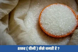 chini kaise banti hai