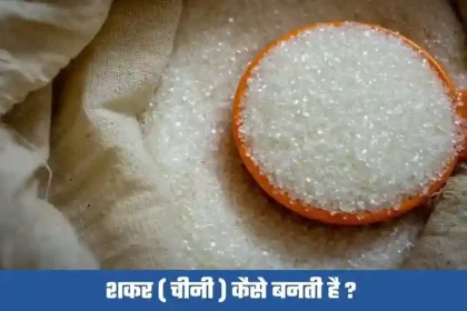 chini kaise banti hai