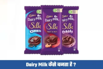 डेरी मिल्क कैसे बनता है ?